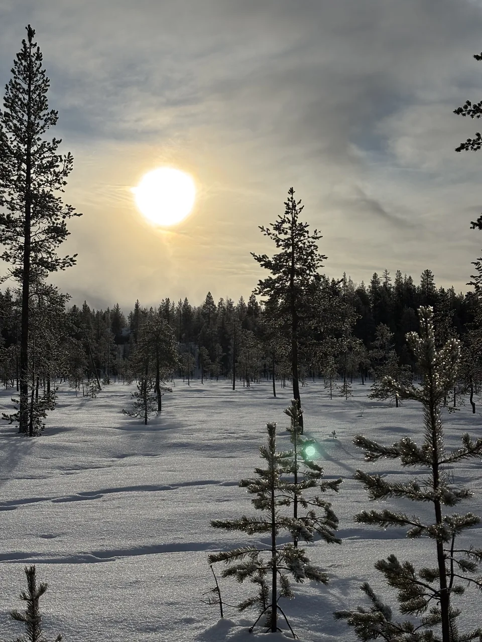 Lapland, photo 3