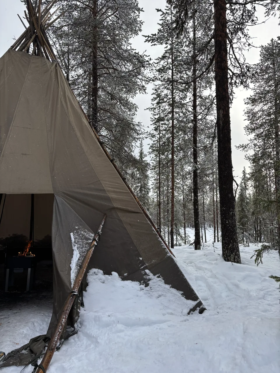 Lapland, photo 6