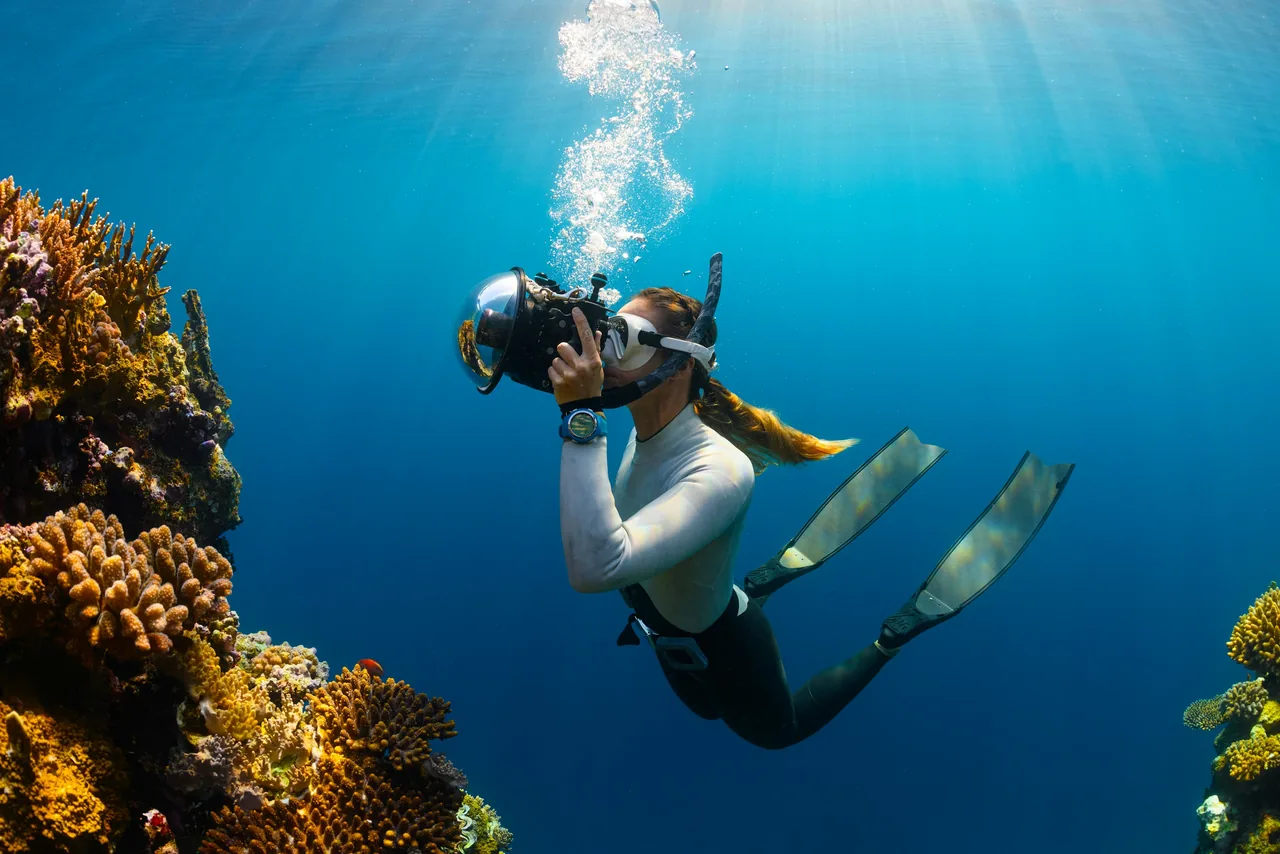 Scuba diving photo 7