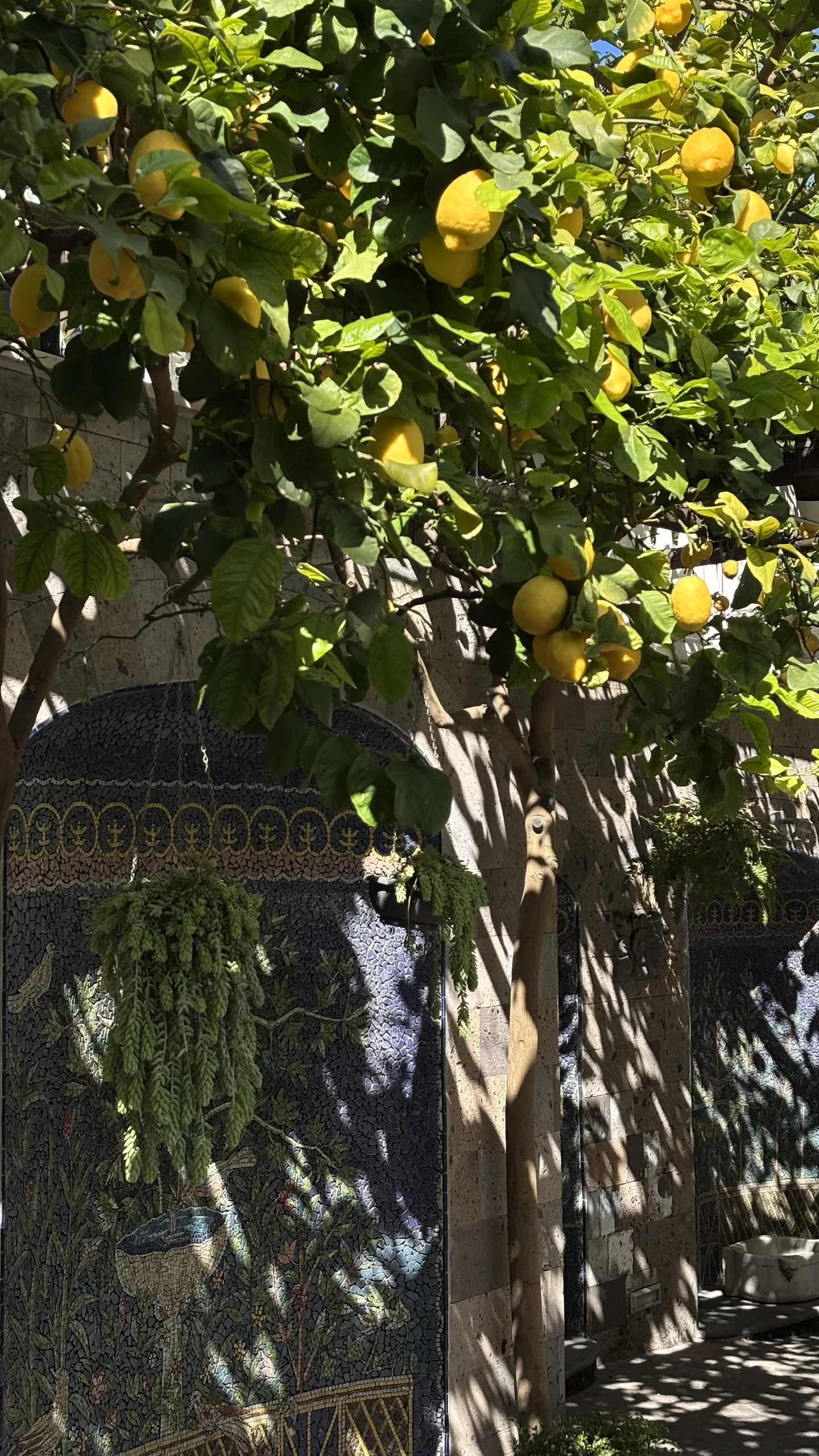 Italy, photo 7