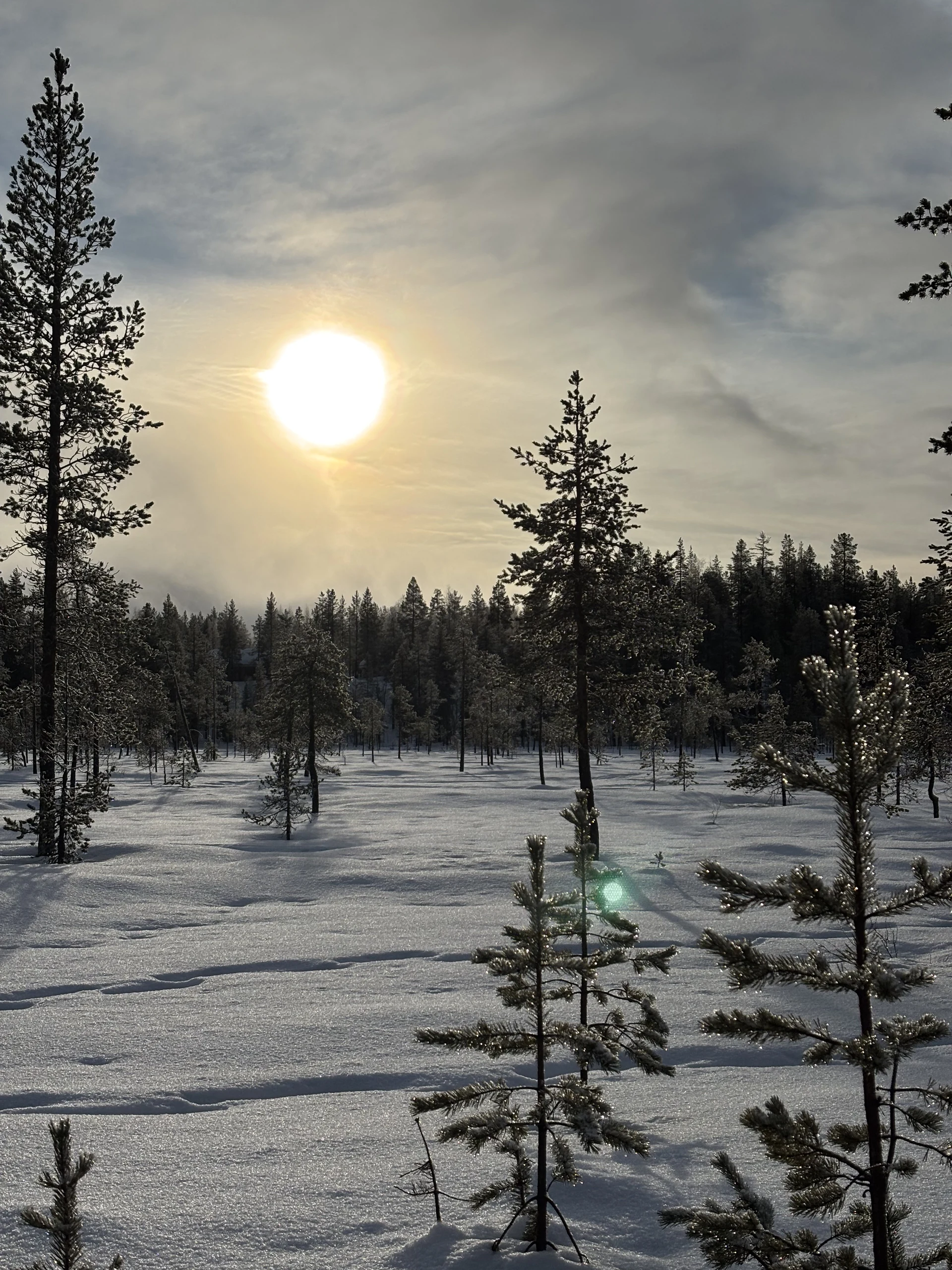 Lapland, photo 3