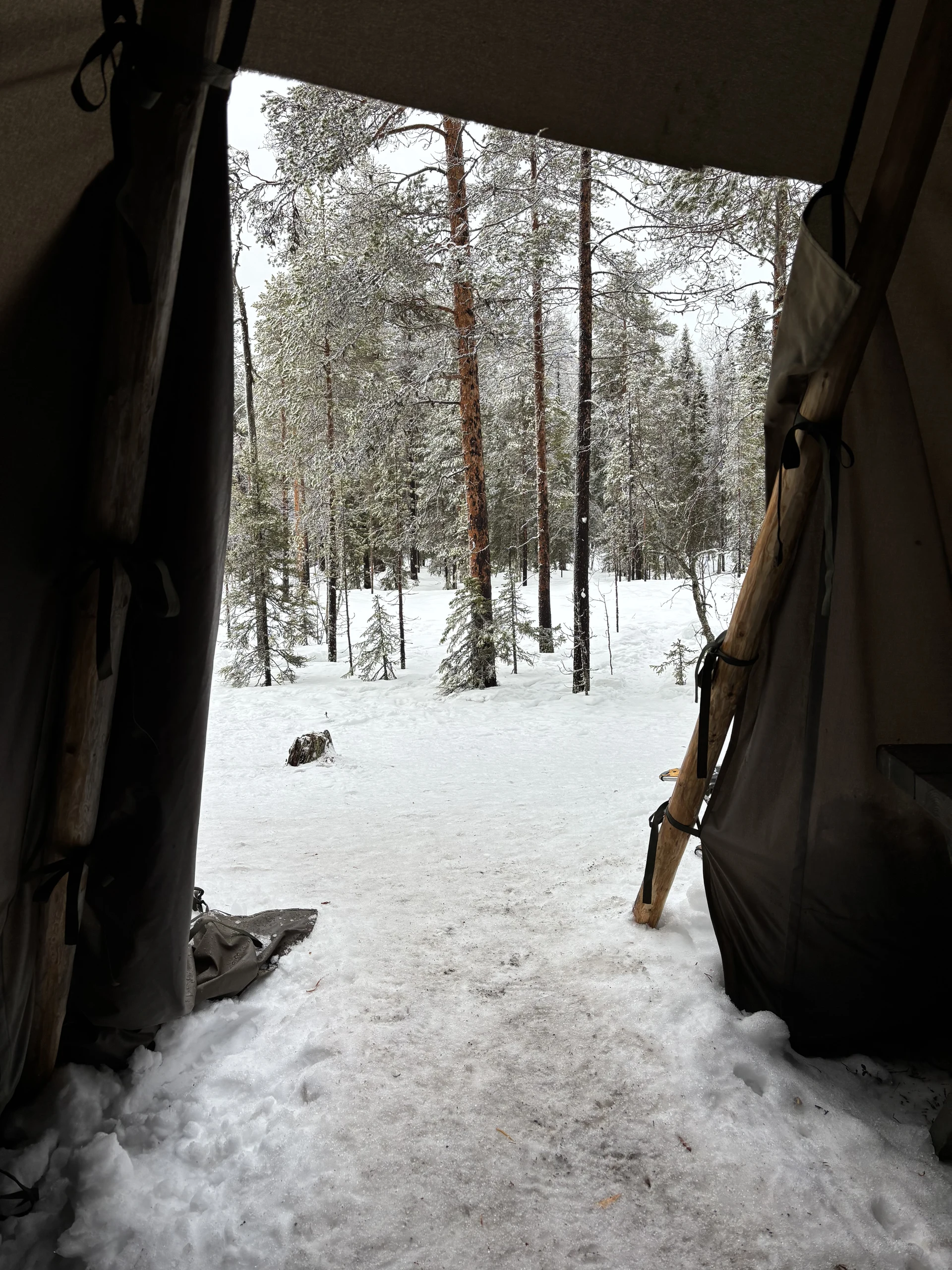 Lapland, photo 5