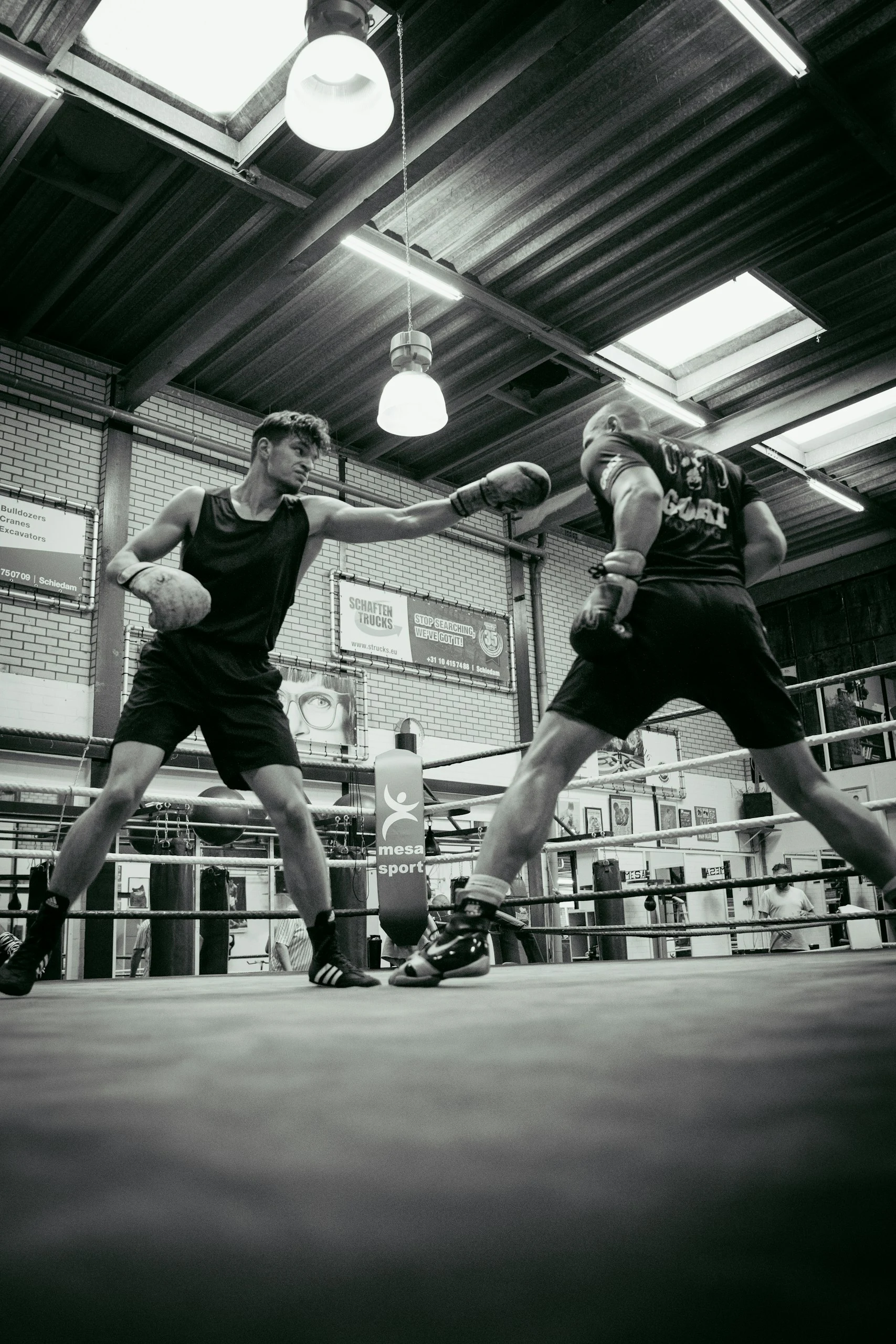 Boxing photo 6