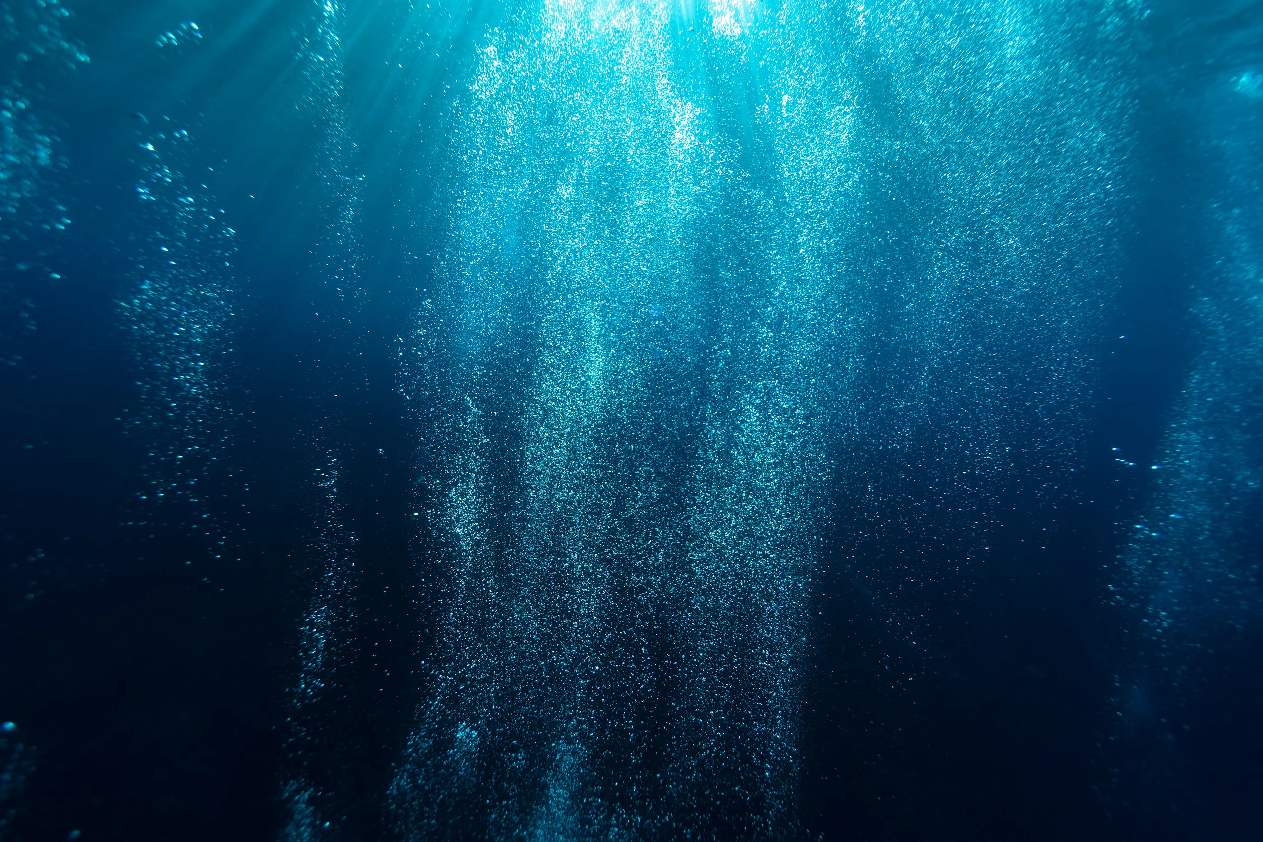 Scuba diving photo 6