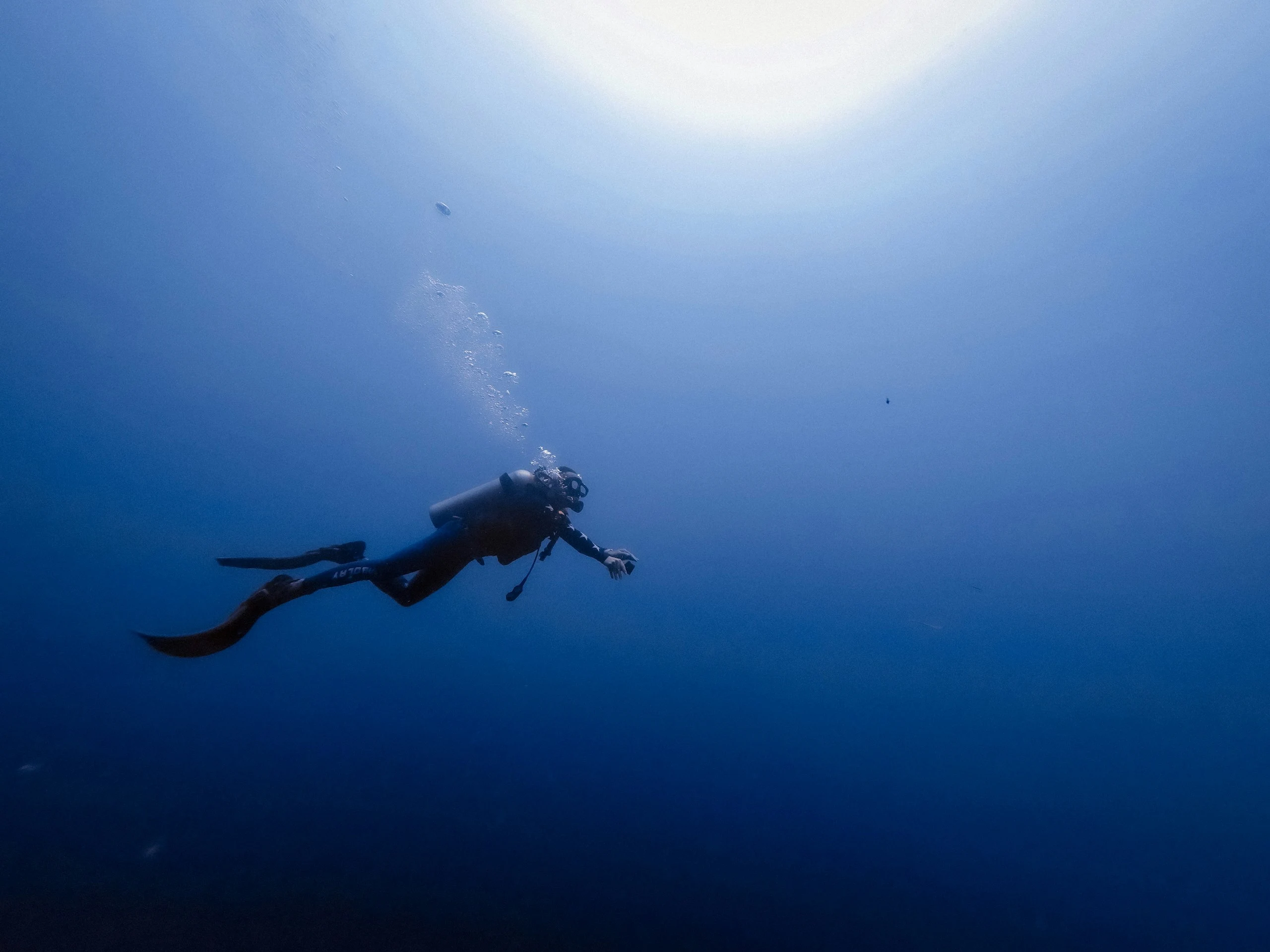 Scuba diving photo 12