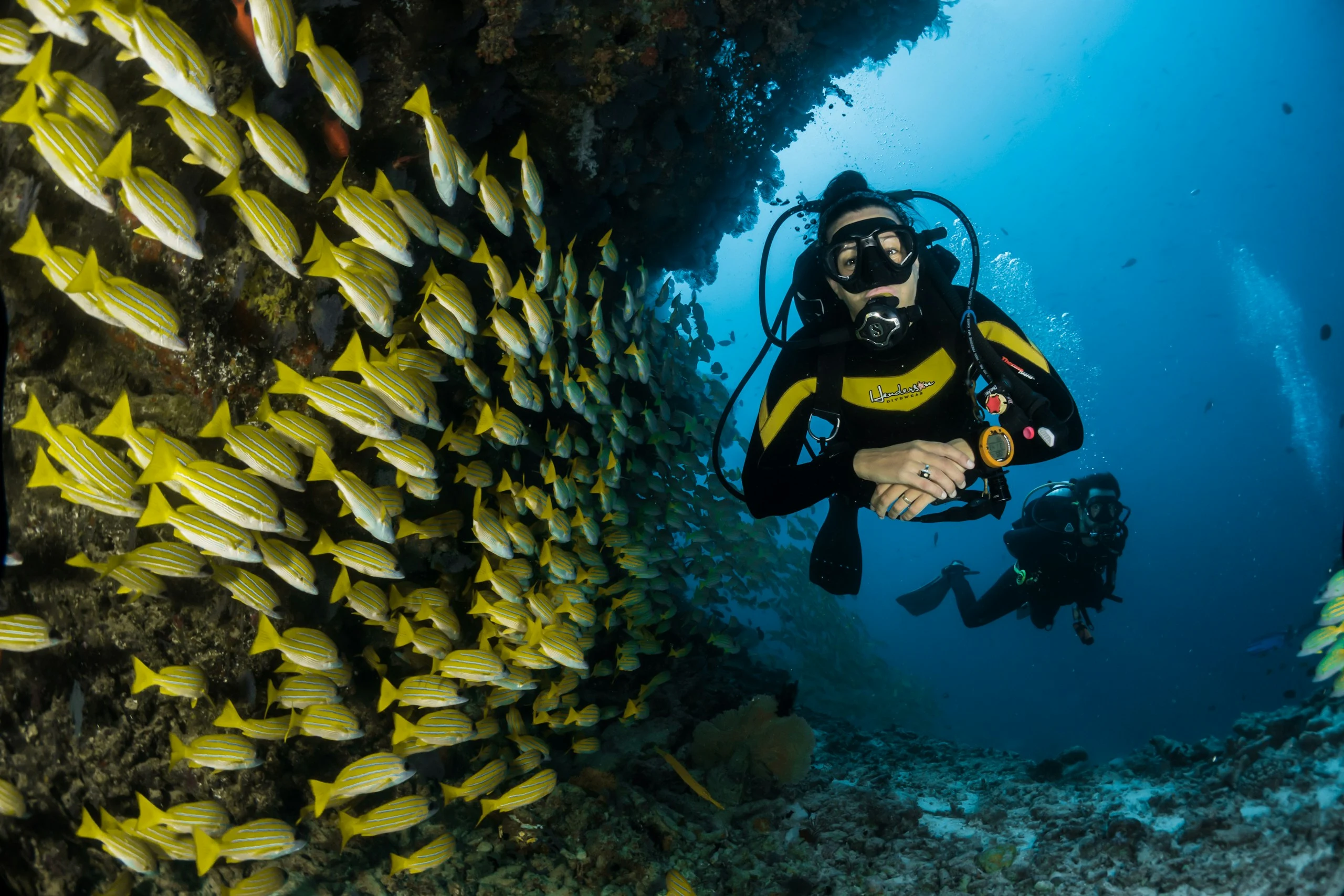 Scuba diving photo 11