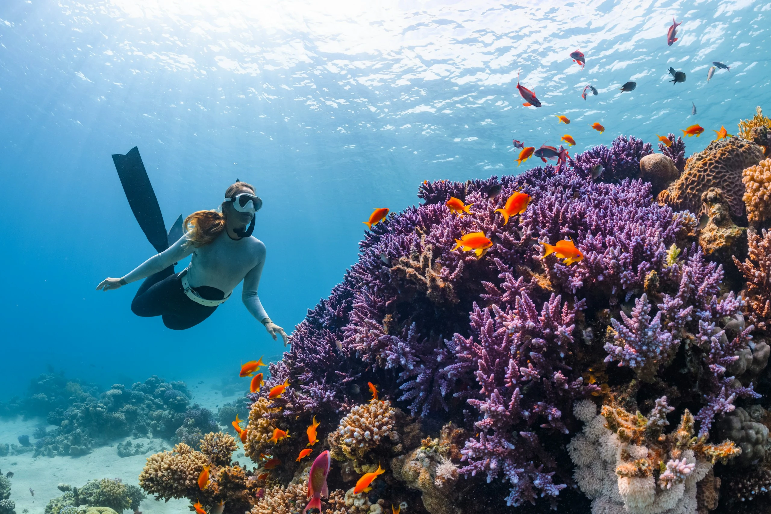 Scuba diving photo 13