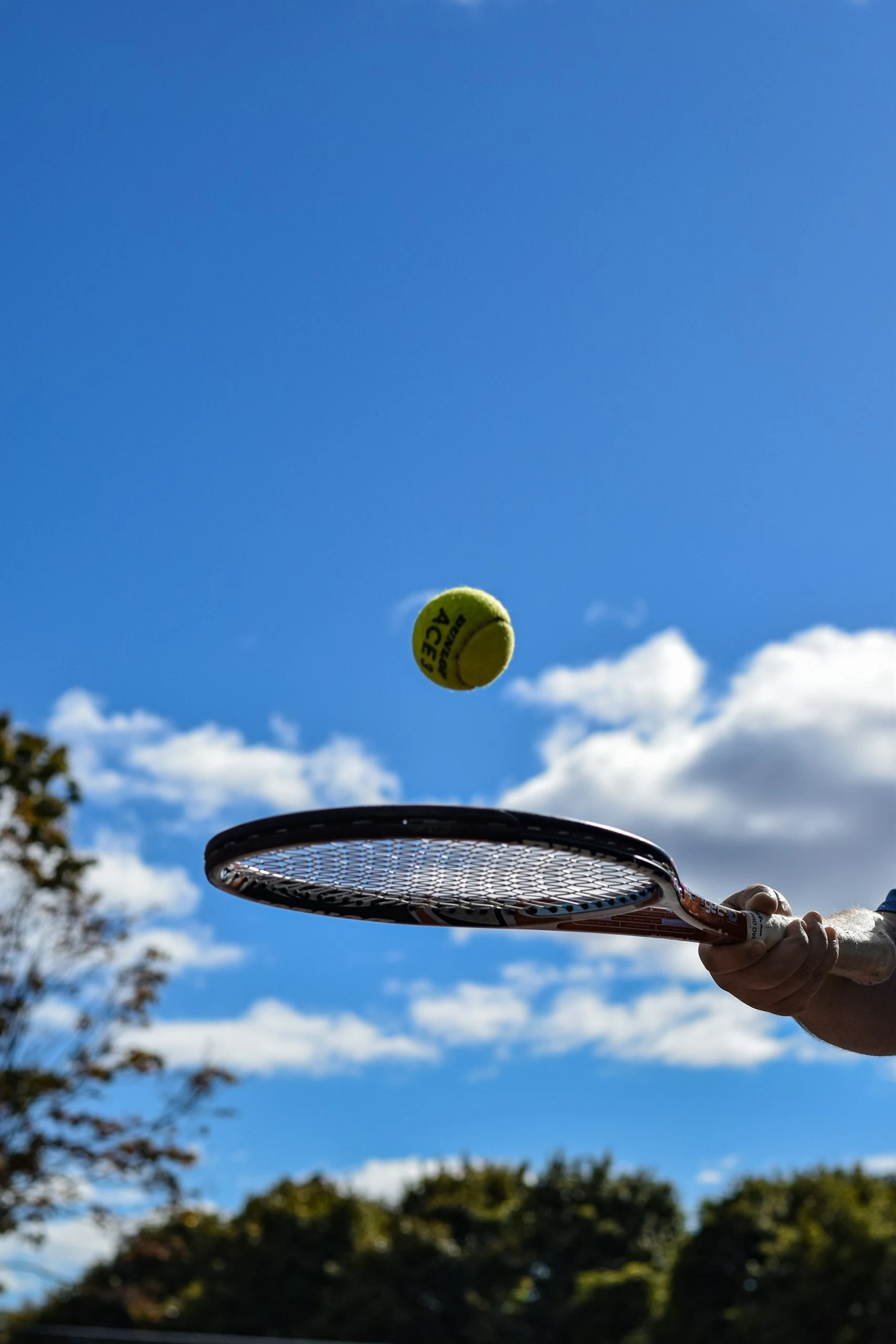 Tennis photo 11